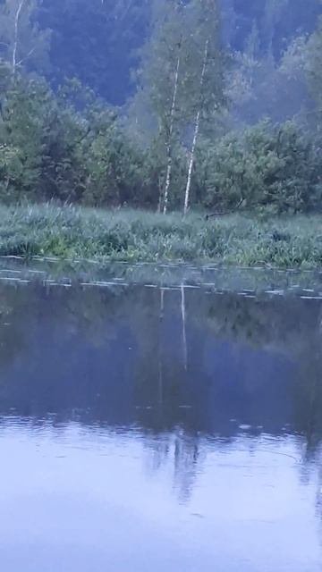 8d58bdbe-9112-4ccf-ab74-ad891fb78fd2-1_all_1158.mp4