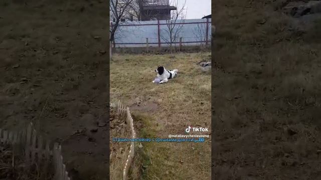 Попробуй отбери!...)))