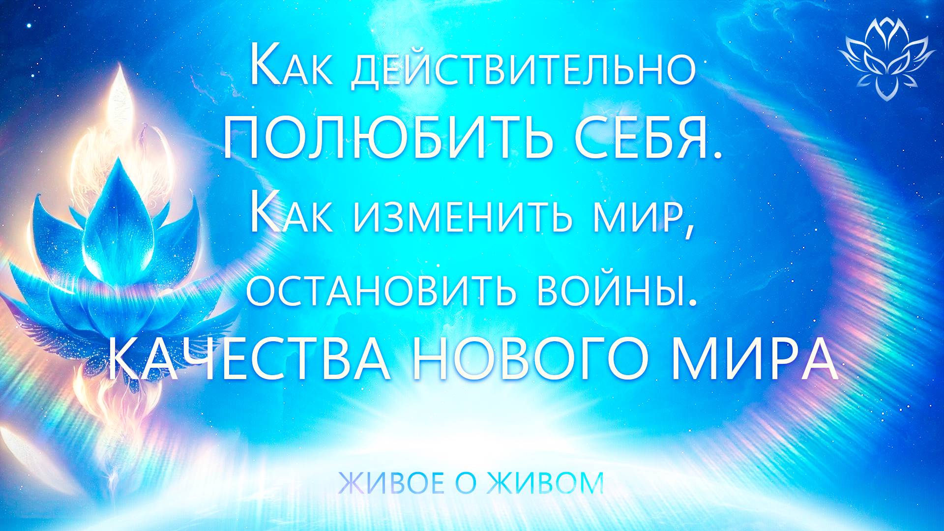 Как полюбить себя, остановить войны, изменить мир. Качества Нового Мира