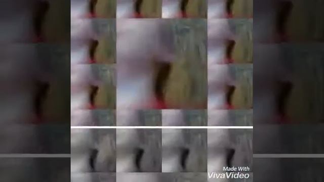 "Смешное видео " Джаз поп...!!