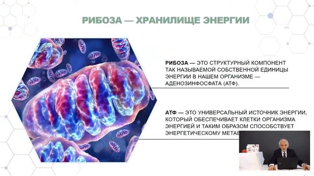 Профессор Дадали про суперфуды от LR (Энергия)
