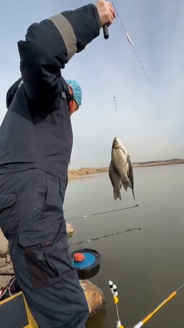 Три КАРАСЯ на 1 крючок что это такое? #fishing #рыбалка #낚시