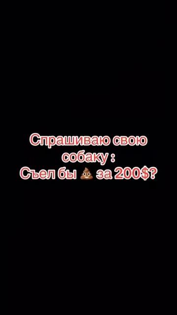 ПОДПИШИСЬ на КАНАЛ!