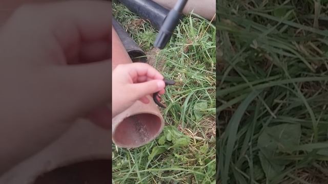 1000000824.mp4