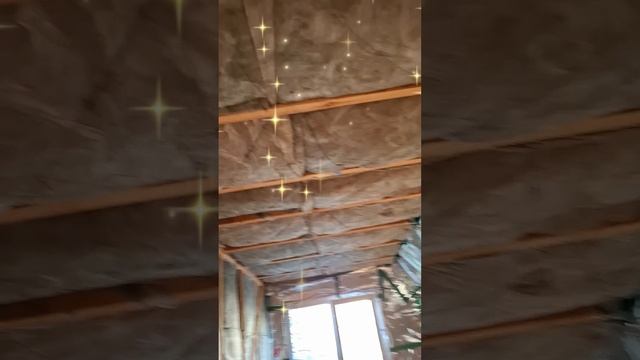 1000023771.mp4 (Собака наблюдает за утеплением нового дома А-фрейм)