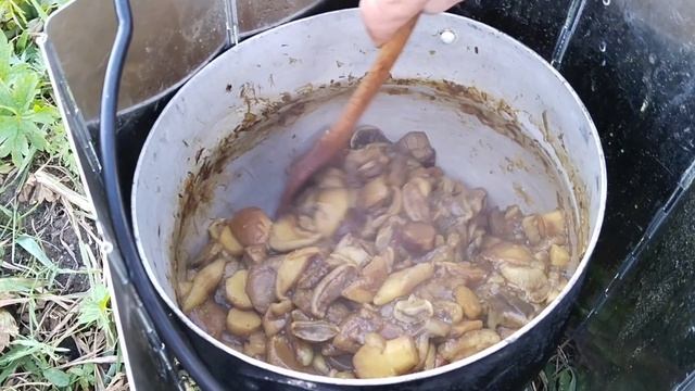 Таинственный Чокпартас. 4 часть. Возвращение