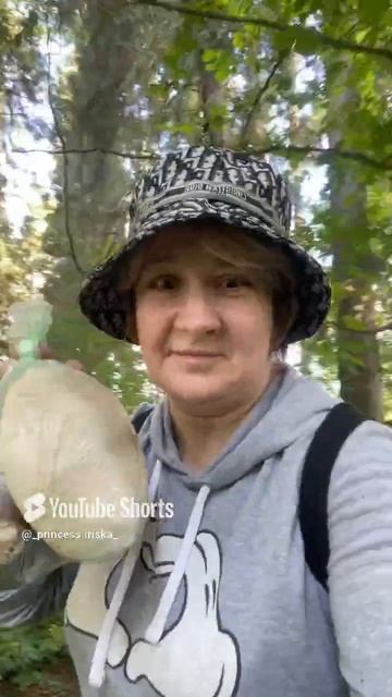 я и прикол ,лес,ходили за грибами