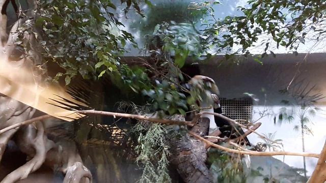 20161204_103256