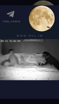 Кол был дан | Пес просит еды | RUL.IM