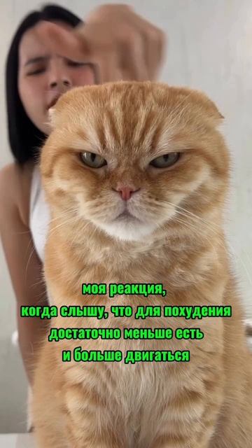 что для похудения нужно?