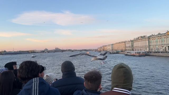 ВЛОГ|Поездка в Питер🏙️