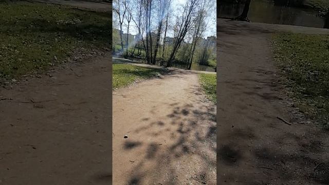 Прогулка в Невском районе у пруда в парке Есенина