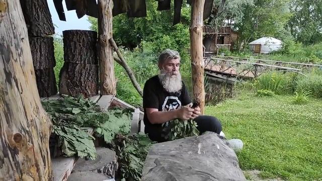 Собираем и вяжем веники для бани.