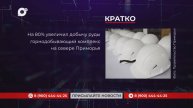 Кратко / 15.05.25 / Вечер