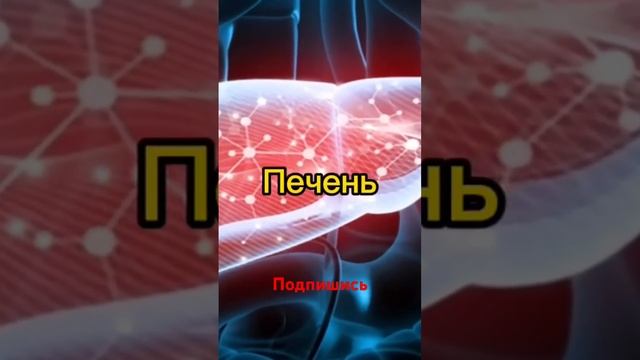 А ВЫ ЗНАЛИ?