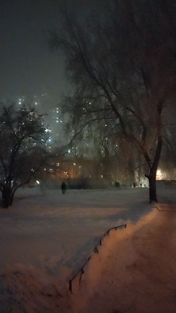Зимним вечером, декабрь 2023.