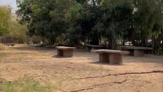 Землетрясение в Мьянме и Бангкоке