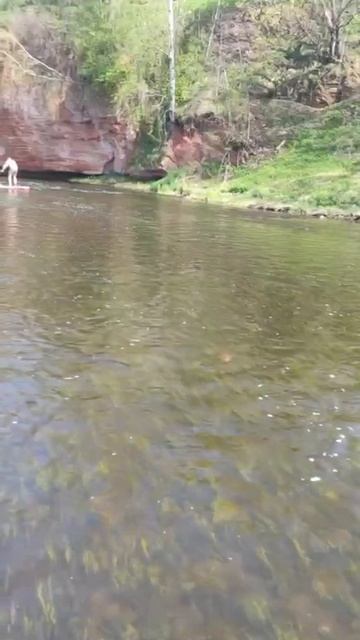 Денис комментирует