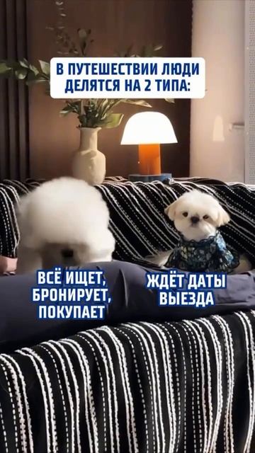 ПОДПИШИСЬ СРАЗУ, ПОТОМ ЗАБУДЕШЬ!