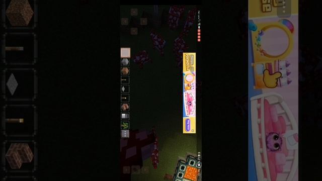 SVID_20250515_161240_1.mp4