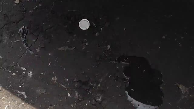 Как избавиться от муравьев на участке. Дешевый и простой способ.