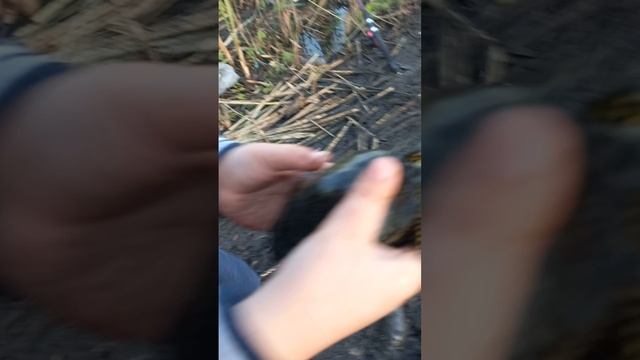 1000017051.mp4