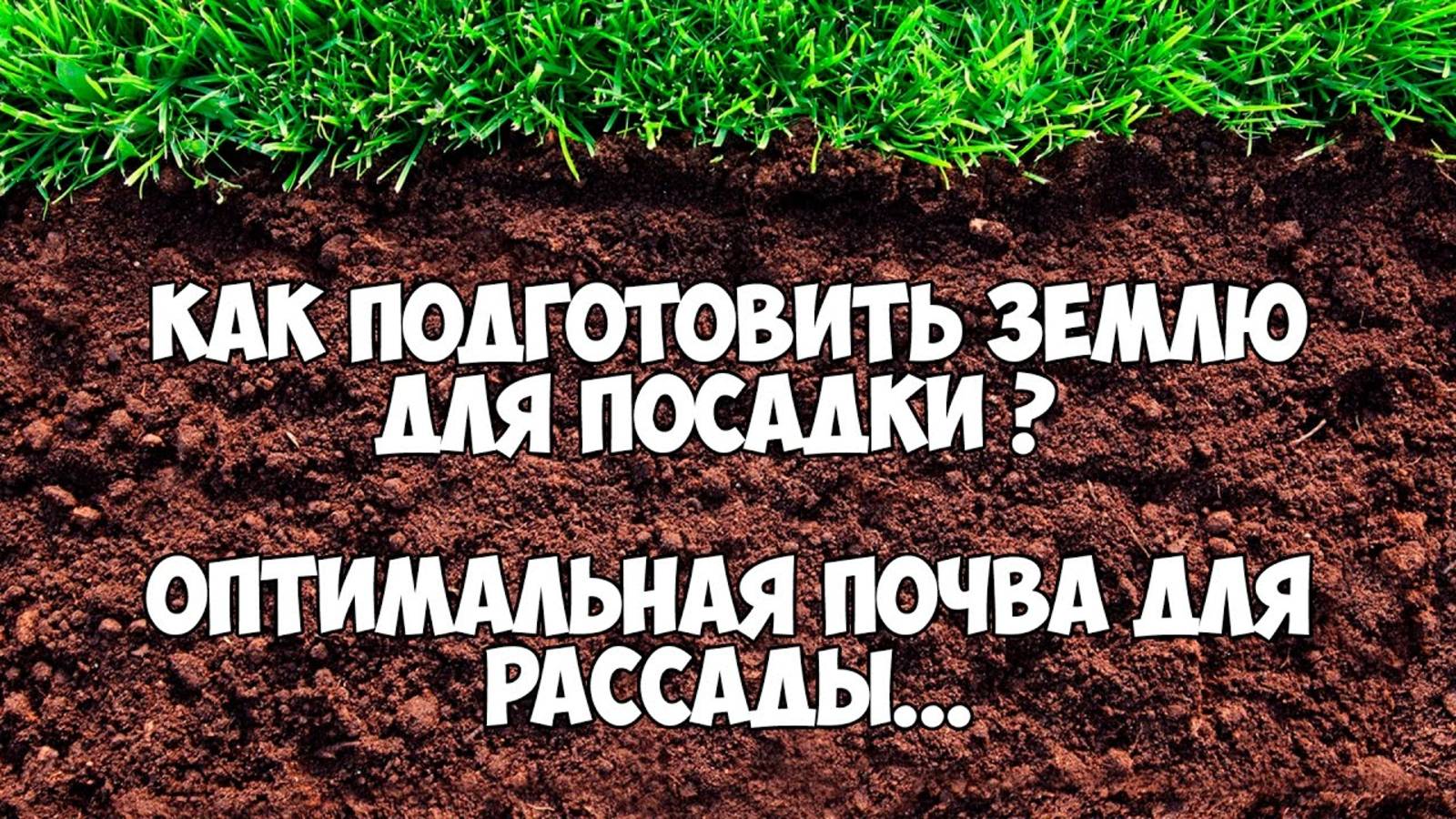 Как подготовить землю для посадки. Оптимальная почва для рассады