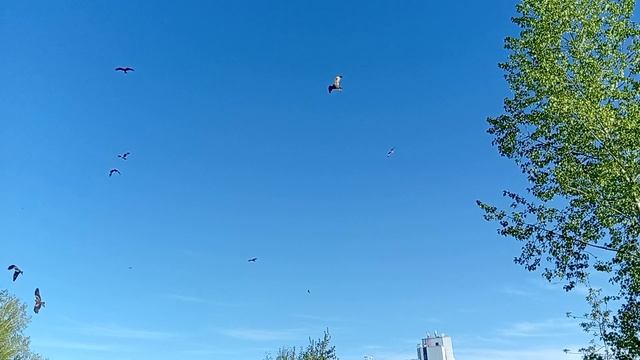 1000014744.mp4