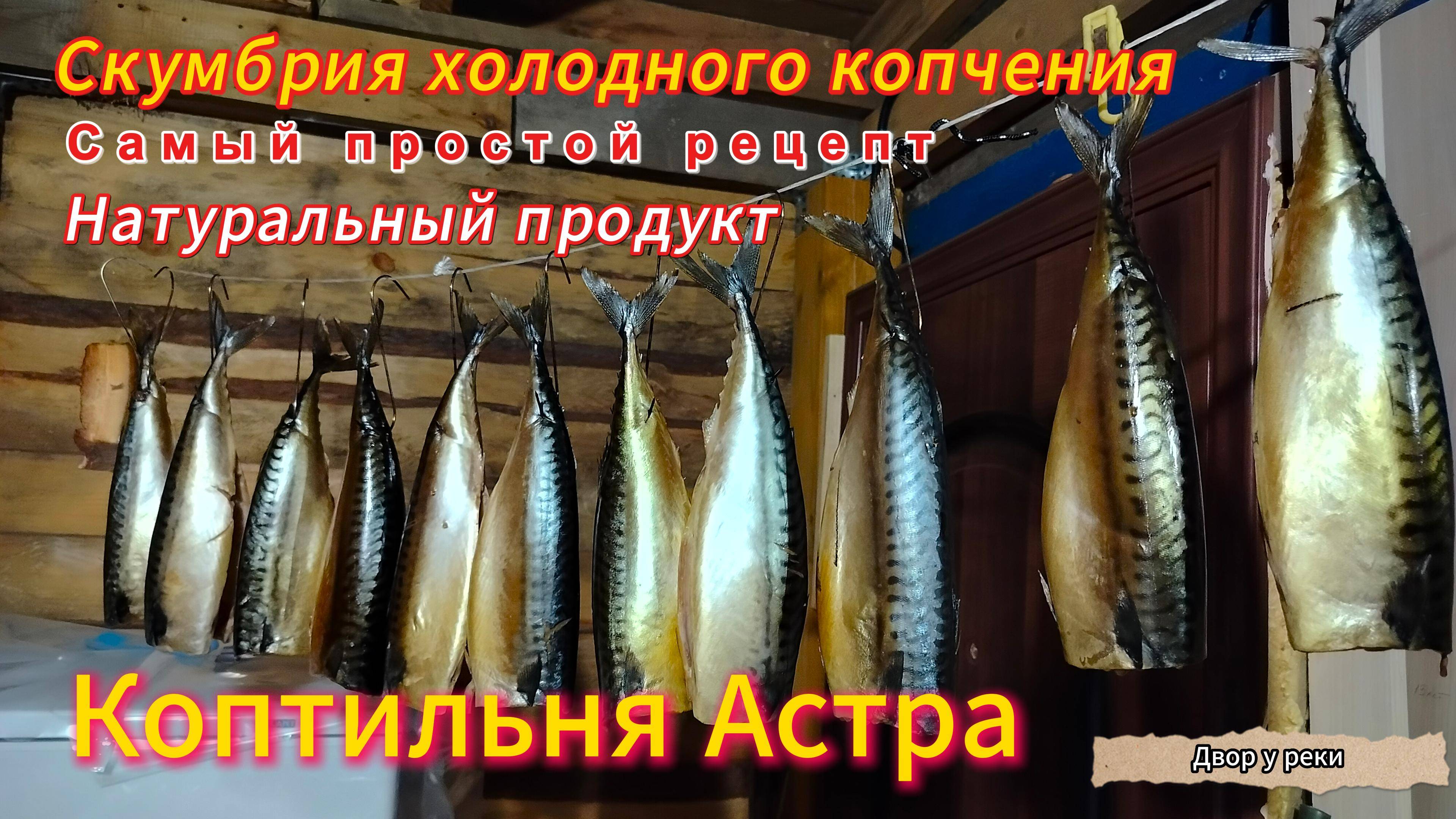 СКУМБРИЯ ХОЛОДНОГО КОПЧЕНИЯ/САМЫЙ ПРОСТОЙ РЕЦЕПТ/КОПТИЛЬНЯ АСТРА/НАТУРАЛЬНЫЙ ПРОДУКТ/ПРОСТО И ВКУСНО