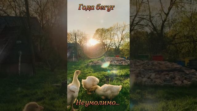 🔴 С добрым новым днём! 🌞🌝⏰☕🍰 Xорошего дня!❤️❤️❤️💘 #годабегут #неумолимо