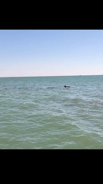 Чёрное море сейчас