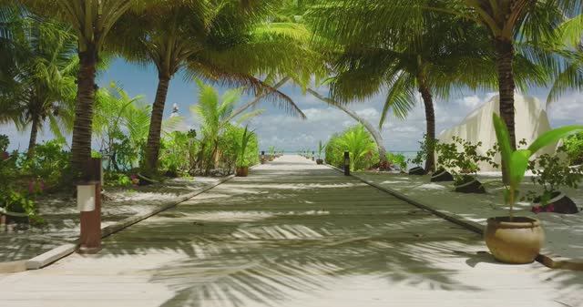 Canareef Maldives