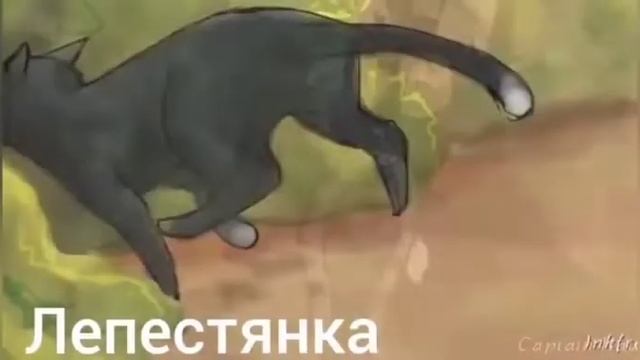 Коты-Воители-House Of Memories-Rus.Cover.
