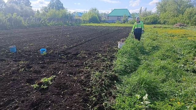 Посадка картофеля