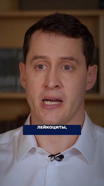 Трансплантация костного мозга. Онкология. #рак #онколо