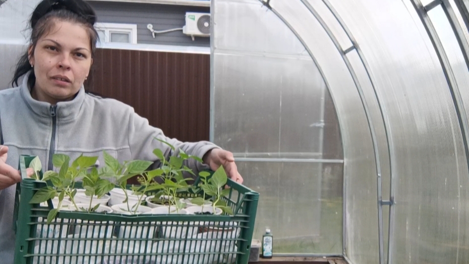 (2025) Пусть шепчутся🌱😌. Вёдра и грабли он туда складывать будет😂.Часть 2