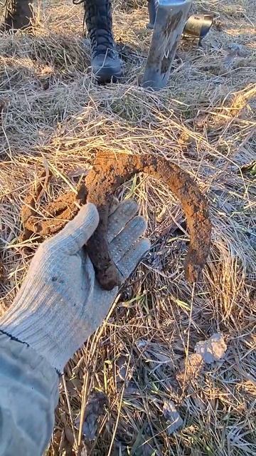 ПОДКОВЫ
