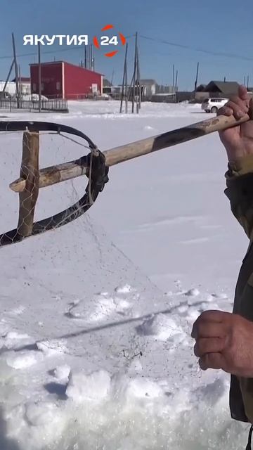Куйуур - традиционный способ ловли рыбы у народов Саха