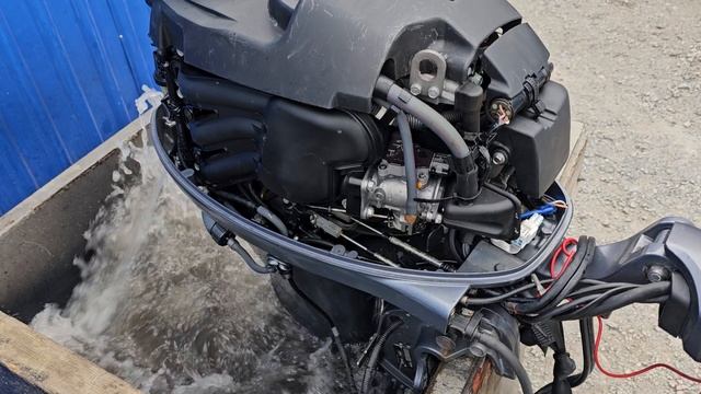 Yamaha F30 (1003200)