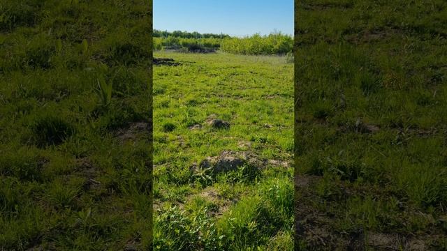 1000200180.mp4