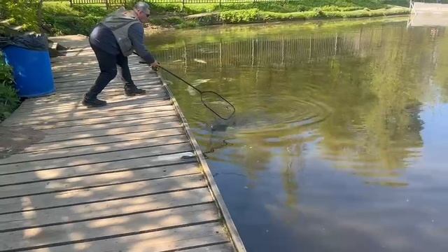Спорт зона