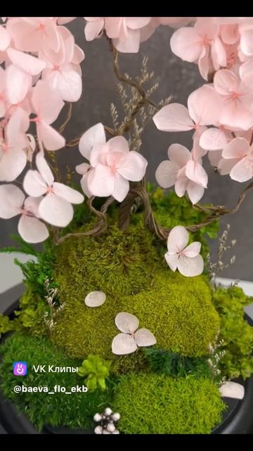 Моссариум в вазе «Клош» - «Цветущая сакура» 🌸