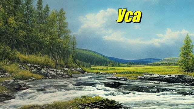 Уса