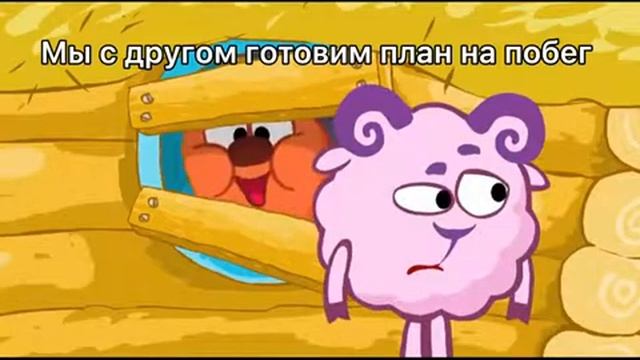 1000000061.mp4
