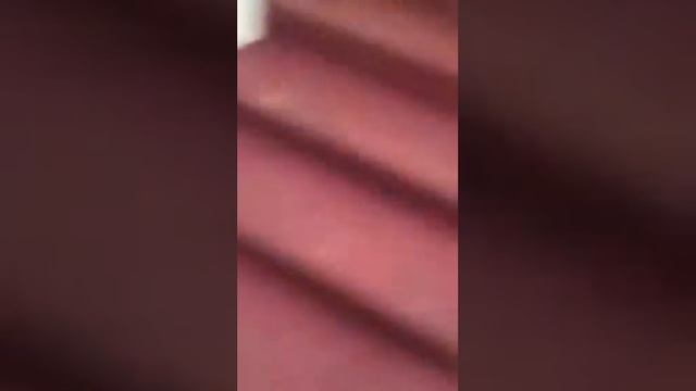 katya moriy   Попа Сони