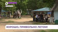 В Приморье летняя оздоровительная кампания охватит 200 тысяч школьников