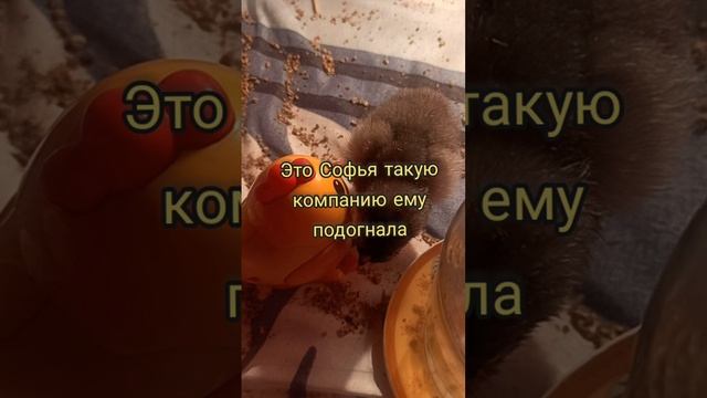 Ну, тогда они все будут мои!