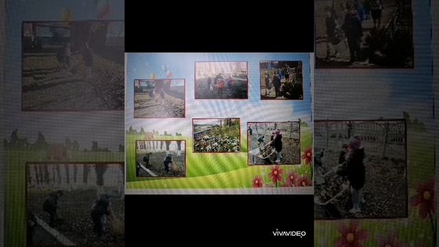 Пути реализации экологической работы в ДОУ