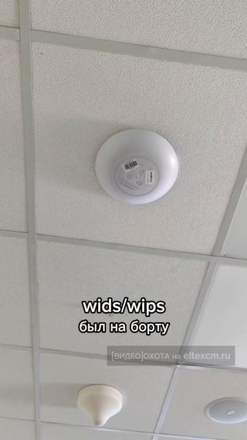Точка доступа WEP-3ax Eltex. Видео[Охота] на eltexcm.ru
