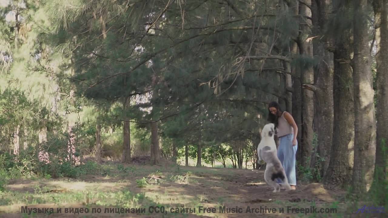 Поля качаются в такт каждому музыкальному движению - Cowgirl -- Jeremy Allingham -- Run Wild